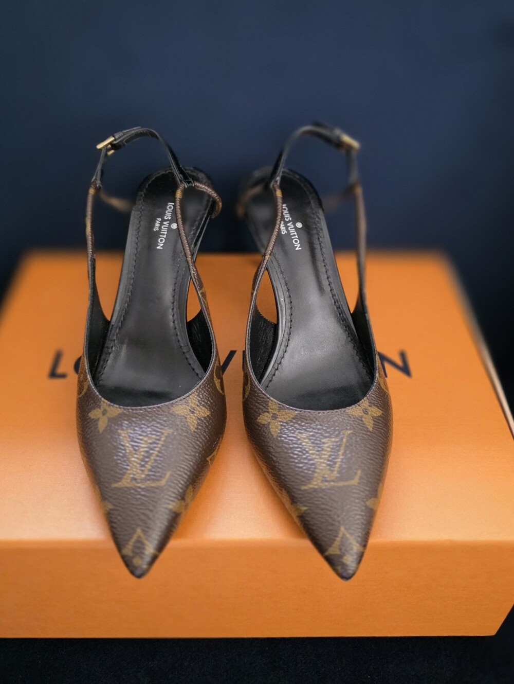 Louis Vuitton Brown Monogram Pointed Slingback Heels
